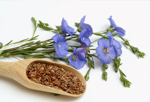 How to use Linseed 